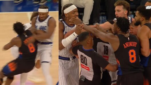 OG Anunoby trucks Wendell Carter Jr and they have to be separated 👀